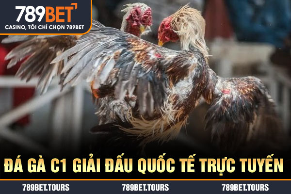 Đá gà C1 giải đấu quốc tế trực tuyến