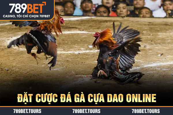 Đặt cược đá gà cựa dao online