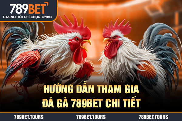 Hướng dẫn tham gia đá gà 789bet chi tiết
